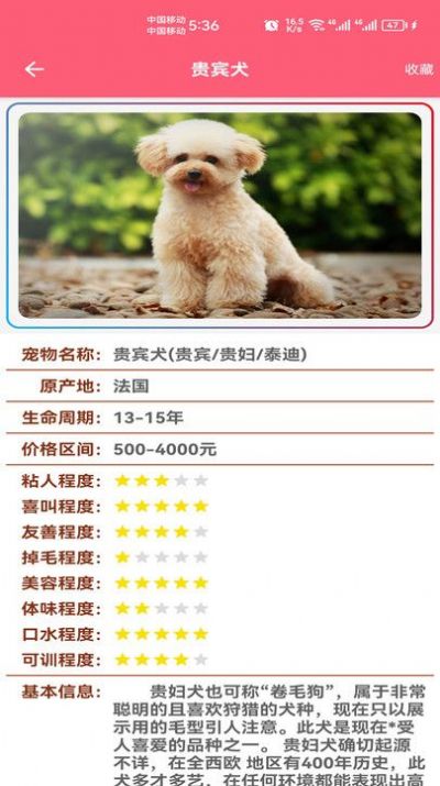 宠物宝宝大全app官方版3