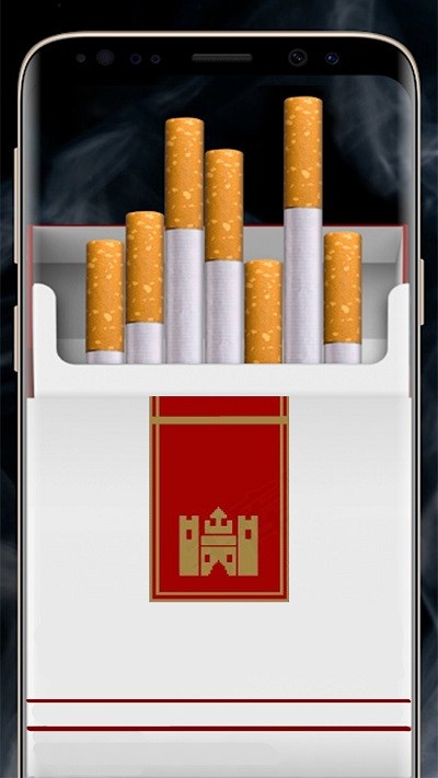 吸烟模拟器安卓版3