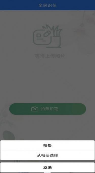 全民识花app官方版3