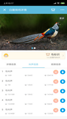 鸟叫声大全免费版3