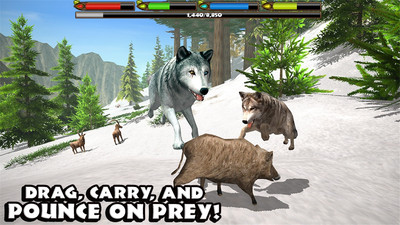 野狼模拟3D2
