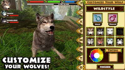 野狼模拟3D3