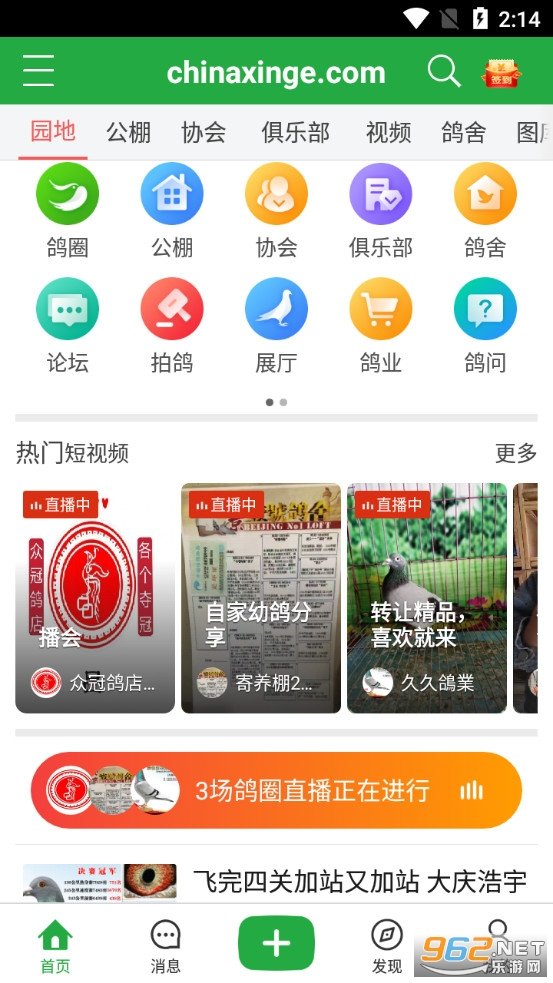 中国信鸽信息网app1