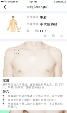 经络穴位图解app2