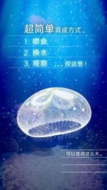 水母养成中文版3