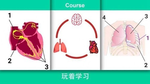 真实医疗模拟器中文版无限金币下载3