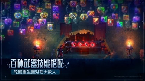 死亡细胞免付费版完整版2