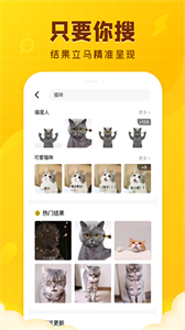 闪萌表情app2