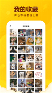 闪萌表情app4