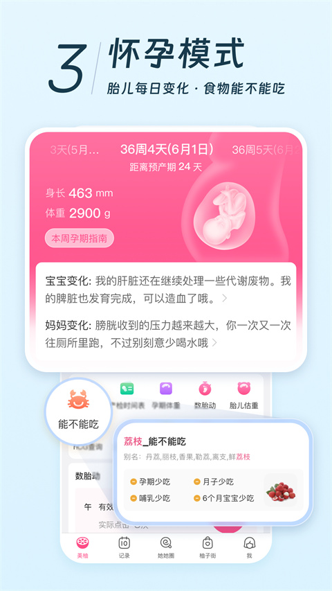 美柚app3