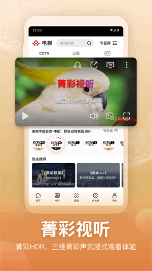 央视频电视版app