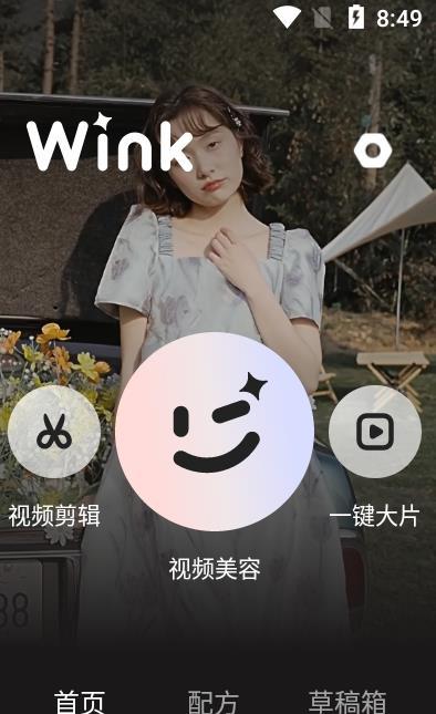 wink软件