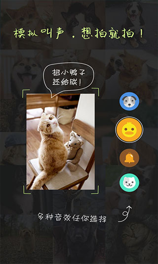 萌宠相机app1