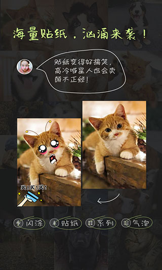 萌宠相机app