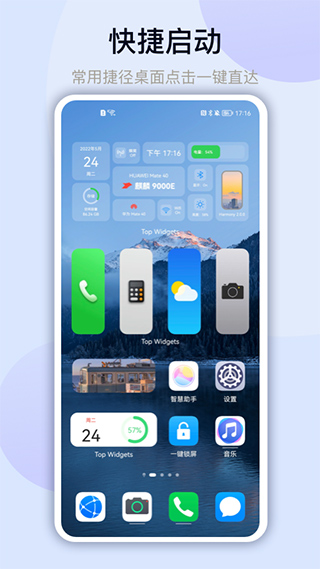 Top Widgets