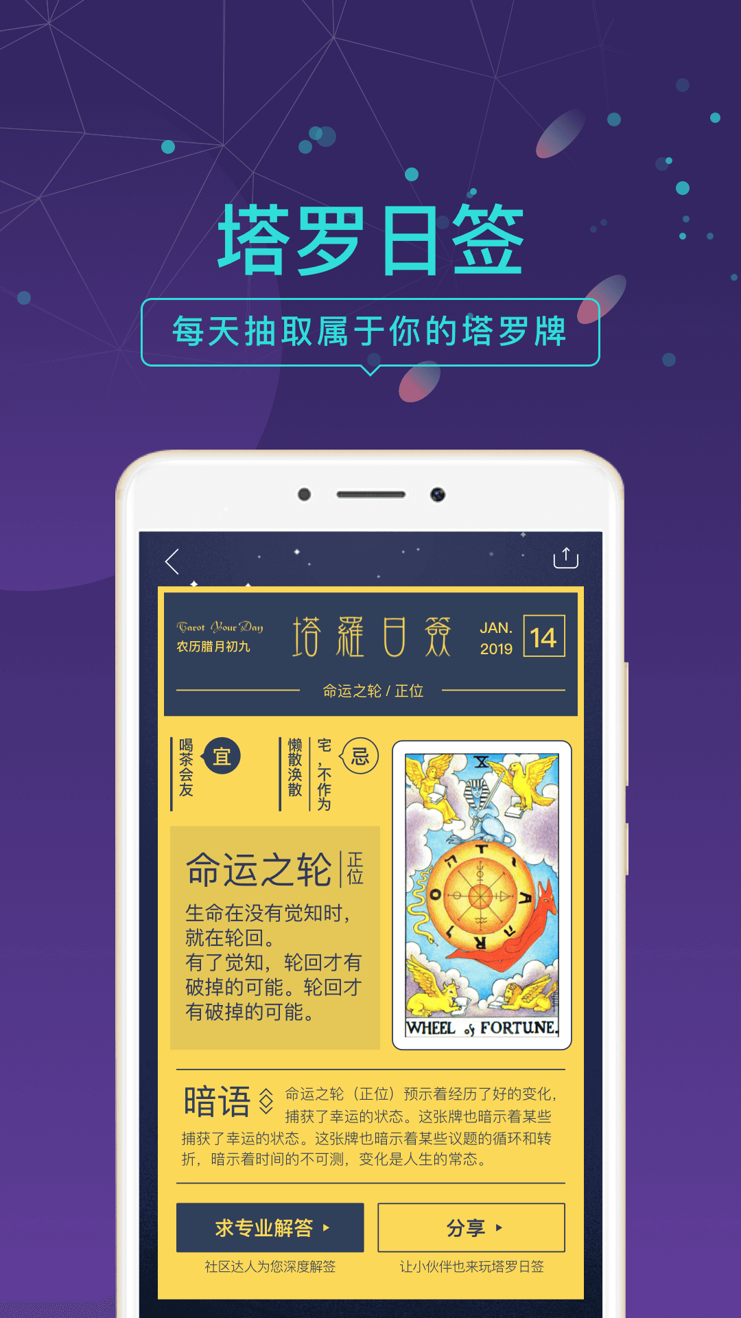 问问塔罗APP2