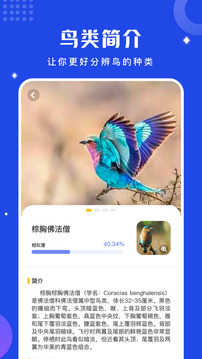 鸟语翻译器免费鹦鹉对话