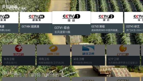 我的电视