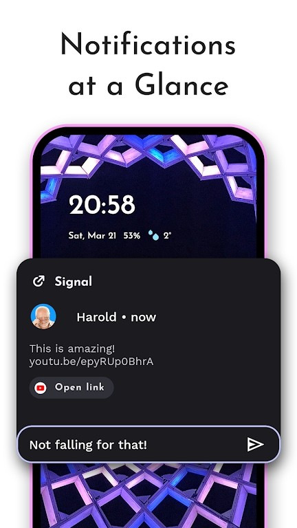 niagara launcher